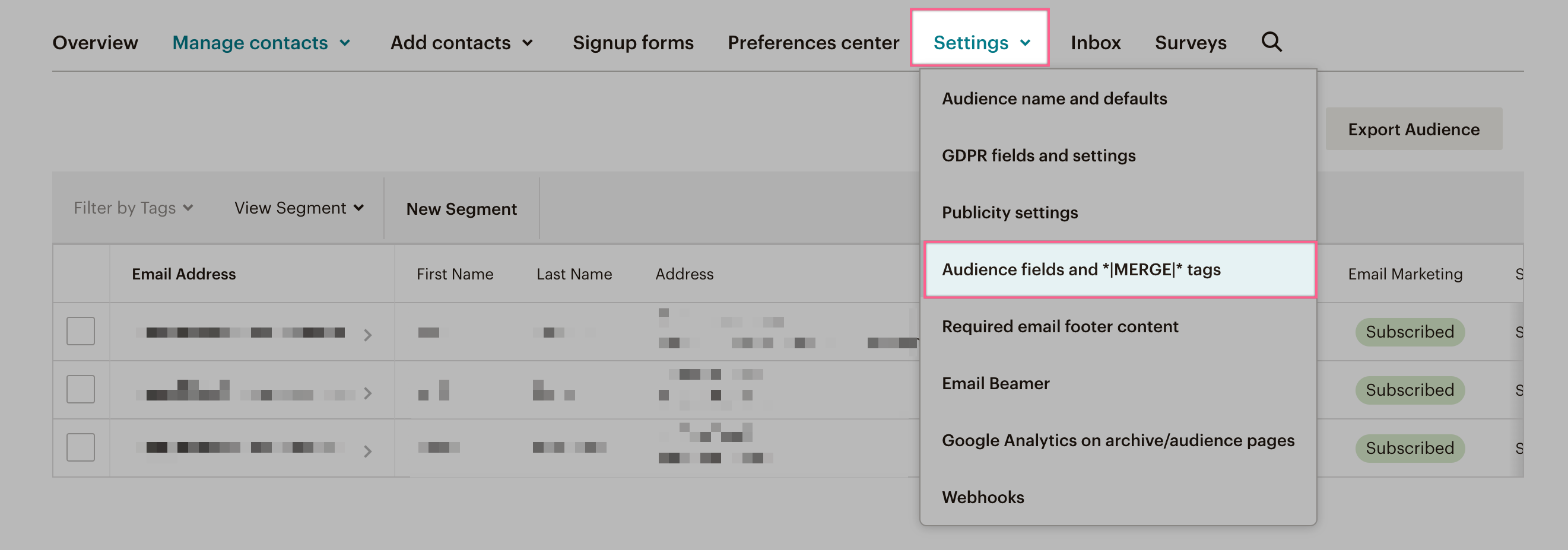 audience_fields_and_merge_tags.png